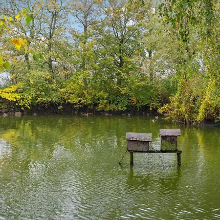 아파트 Cozy In With Kitchen