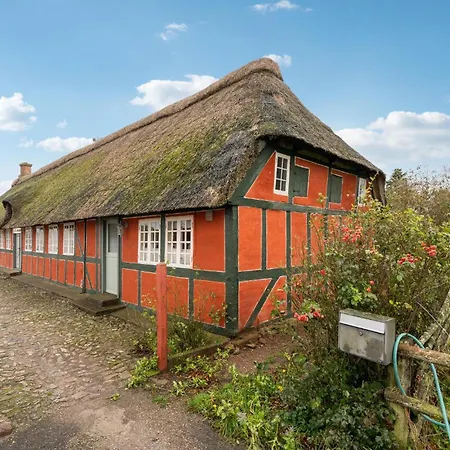 Cozy In With Kitchen Faaborg