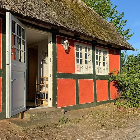 Cozy In With Kitchen Apartment *